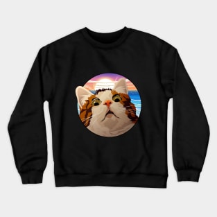 Meme Cat Crewneck Sweatshirt